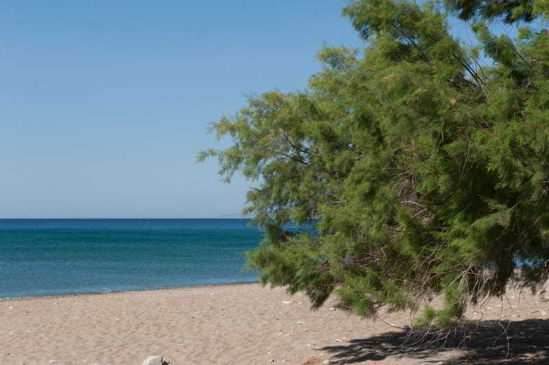 Aphrodite Samos Suites Marathokampos Exterior photo
