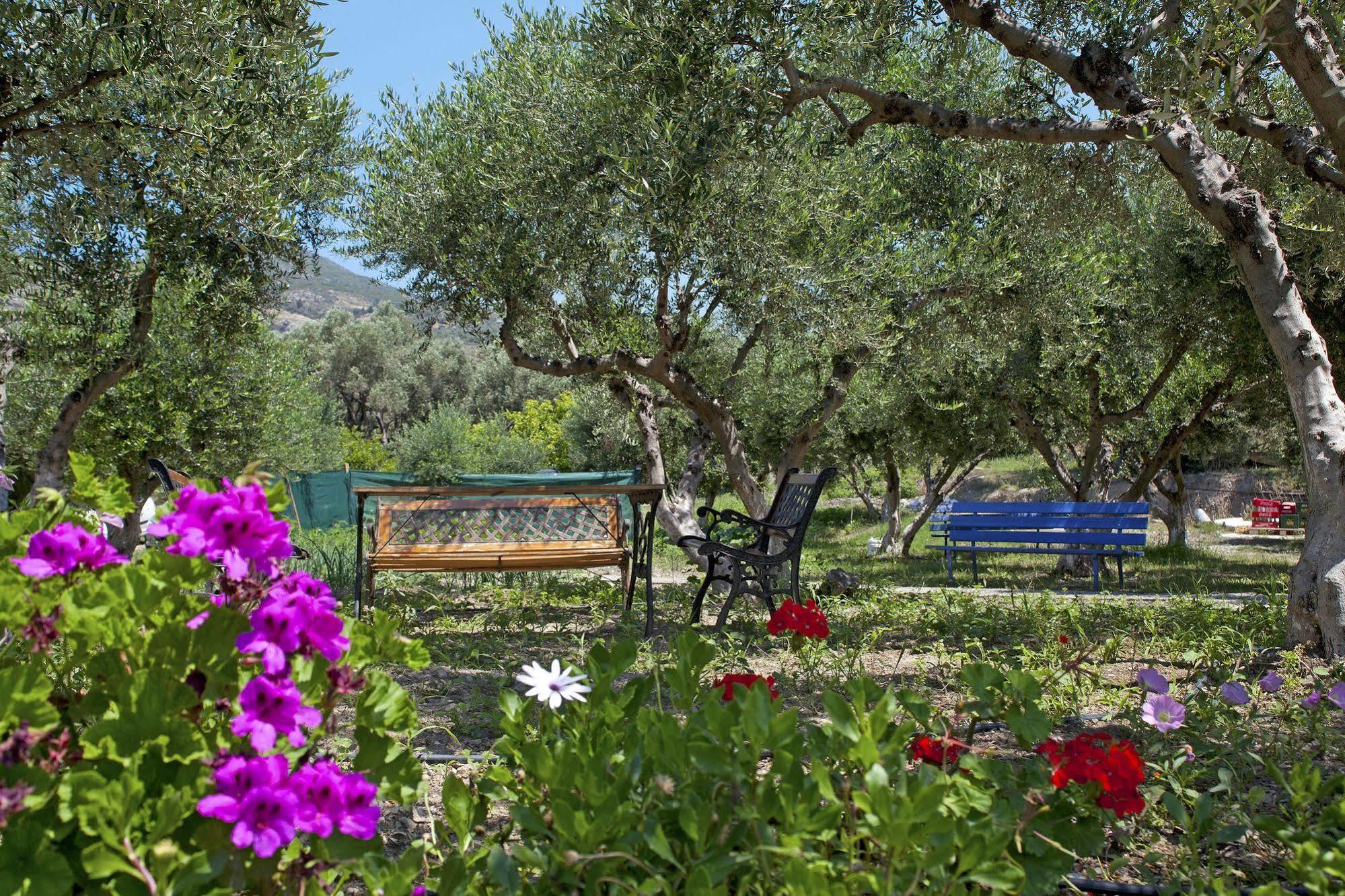 Aphrodite Samos Suites Marathokampos Exterior photo